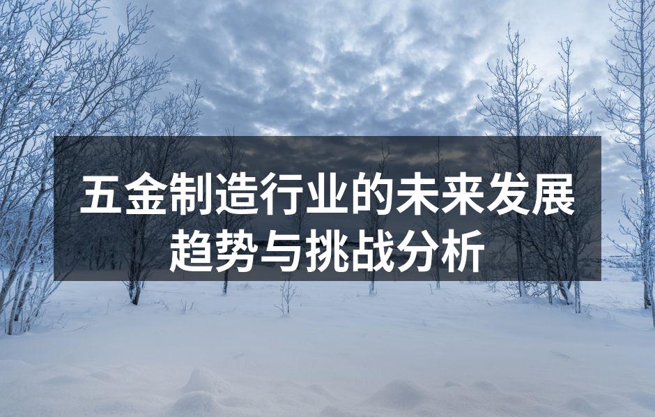 五金制造行业的未来发展趋势与挑战分析